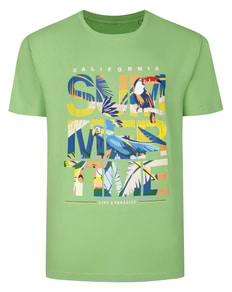 Bigdude Summertime Crew Neck T-Shirt Tall Lime Green